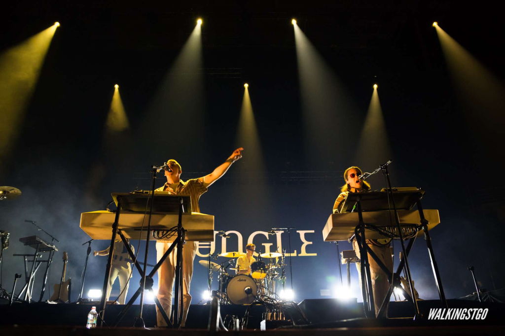 Rumbo al SimiFest: Jungle