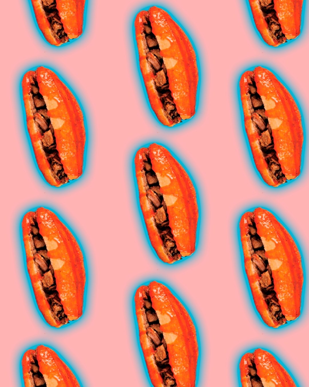 Hermoso Cariño”: música, sabor y tradición en el corazón de Guadalajara